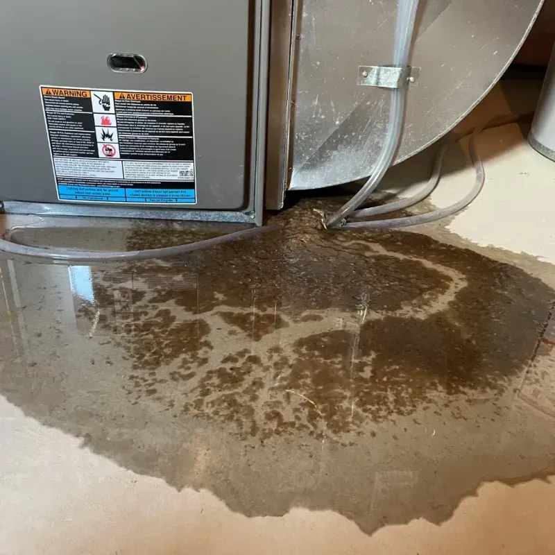 Appliance Leak Cleanup in Arcata, CA